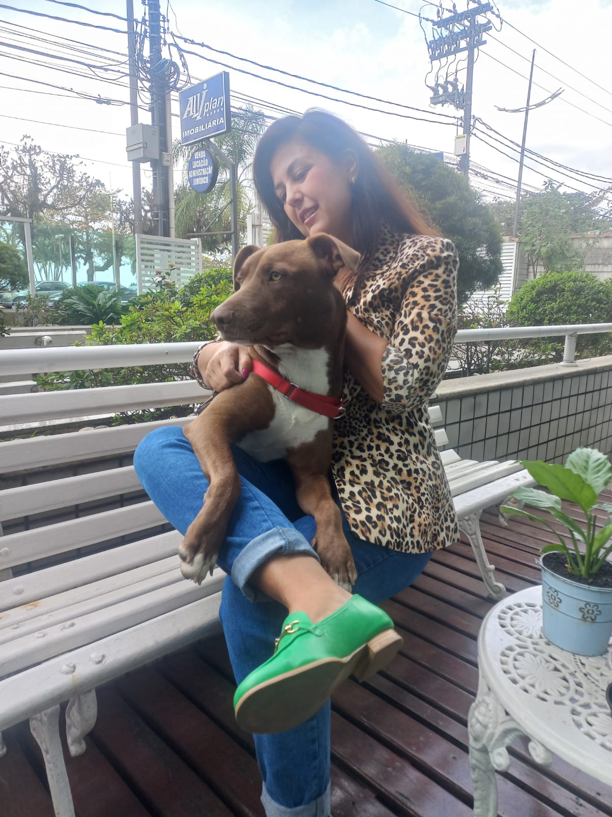 Pet acompanhado de sua família na Alviplan Imóveis